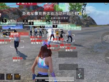 和平精英双屏透视